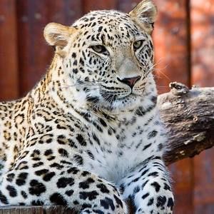 Meet your Posher, Kristin